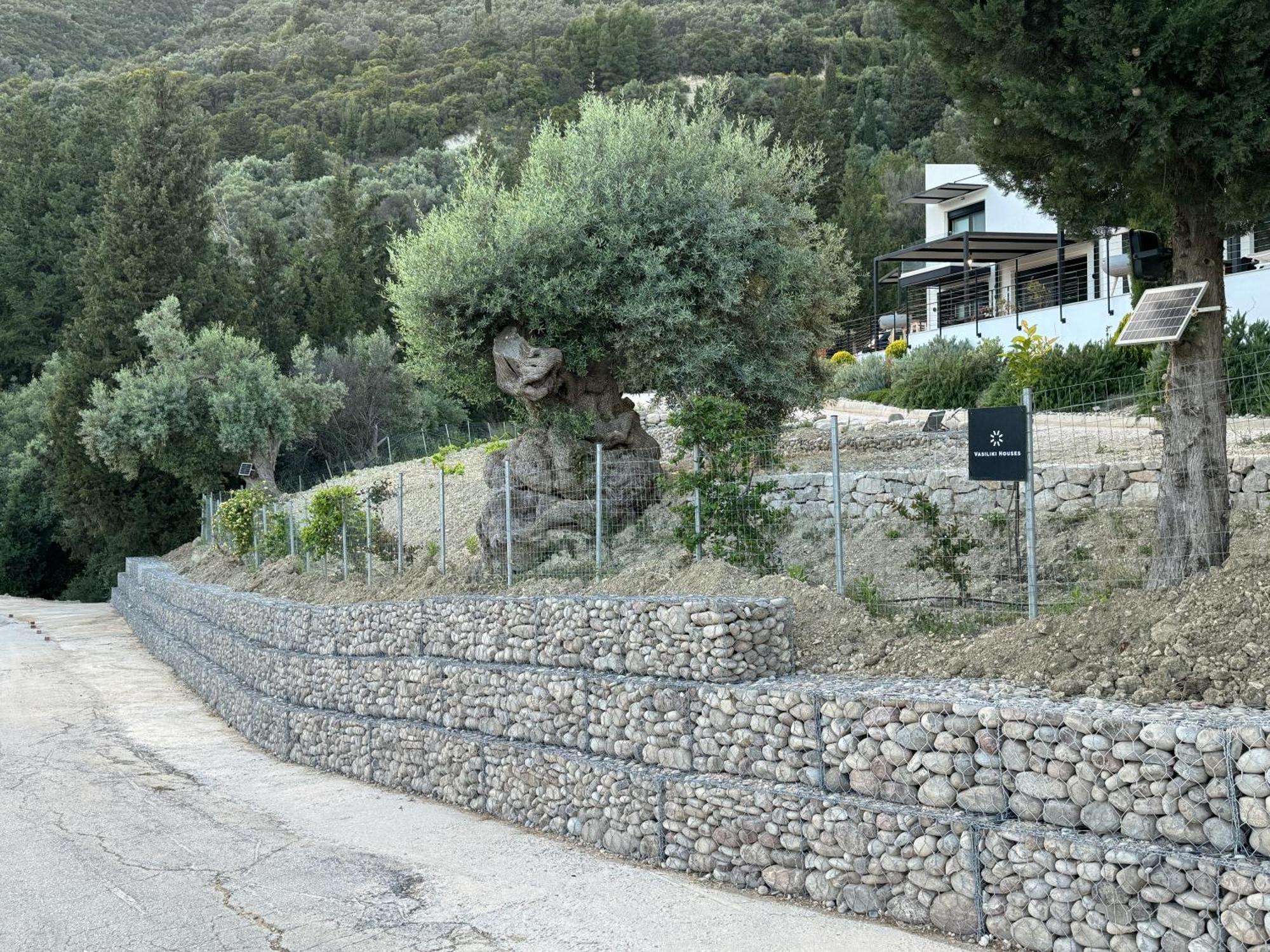 Vasiliki Houses Exterior foto